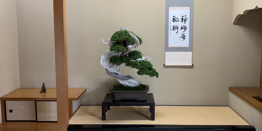 Shunkaen Bonsai Museum