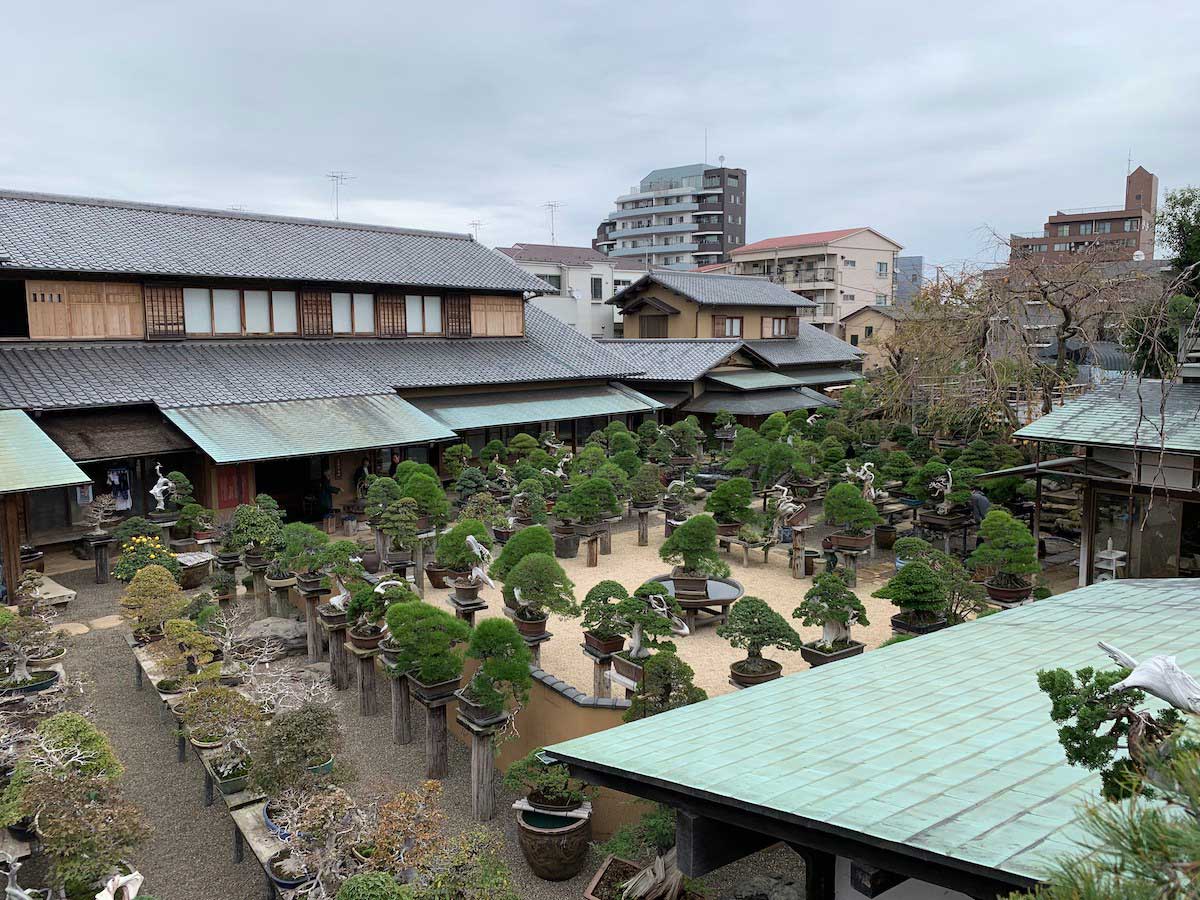 Shunkaen Bonsai Museum – Our Travel Reviews Hawaii